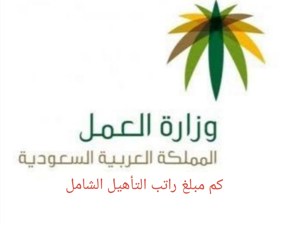 سلم رواتب التأهيل الشامل الجديد