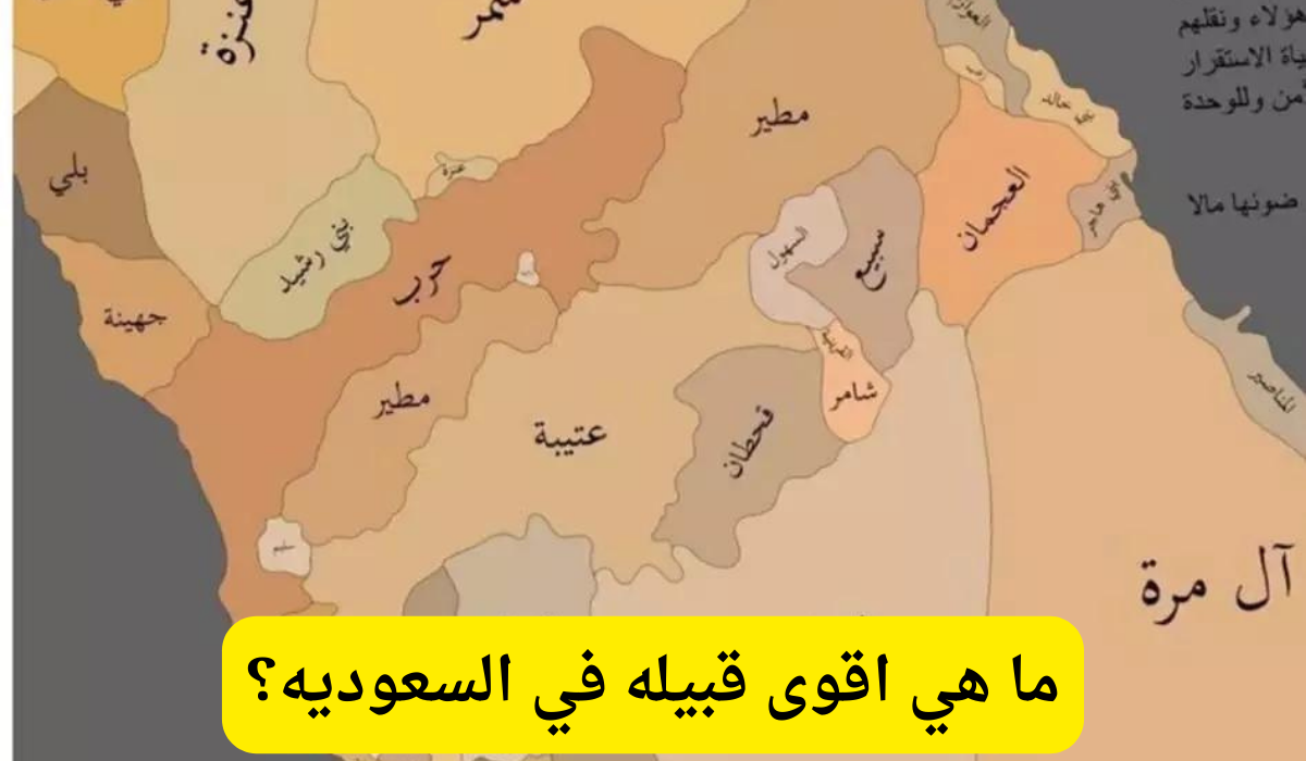 اقوى قبيله في السعوديه