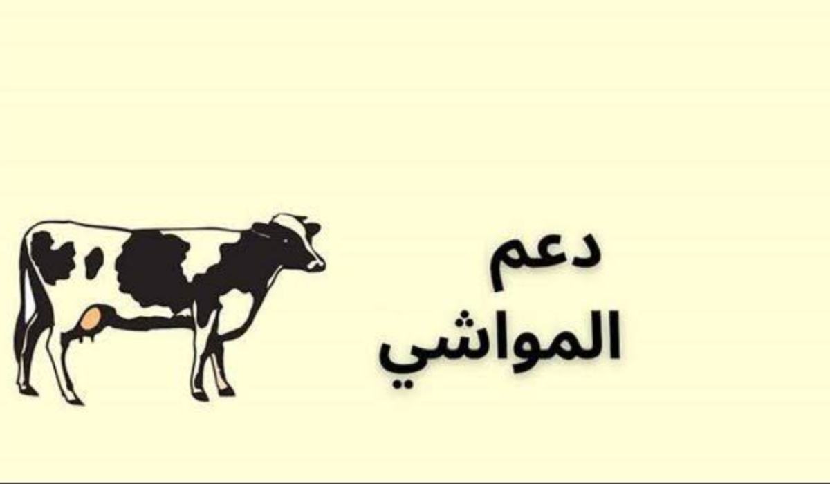 دعم المواشي