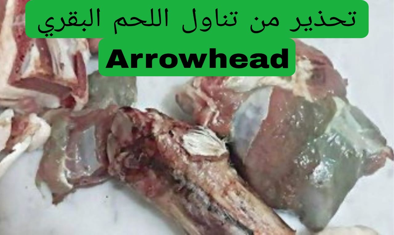 تحذير من تناول اللحم البقري Arrowhead