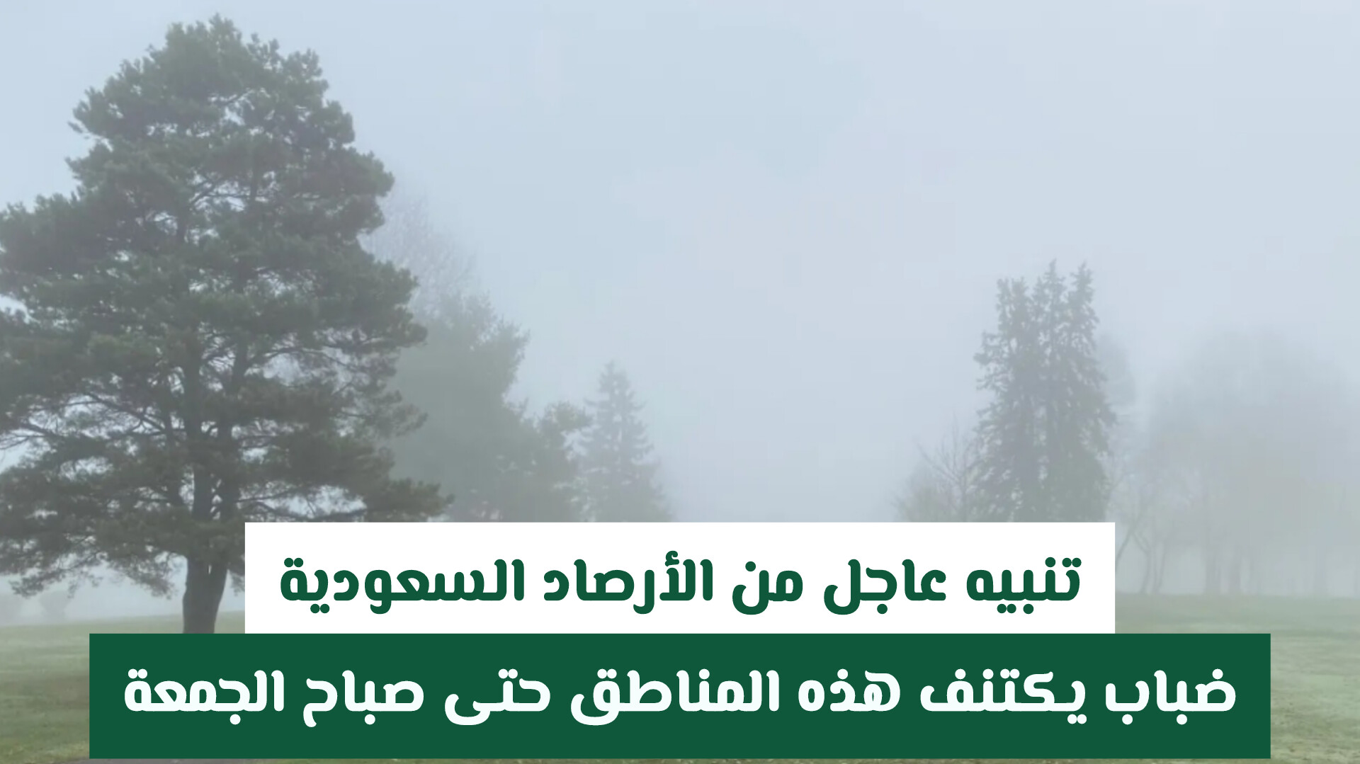 تنبيه عاجل من الأرصاد السعودية .. ضباب يكتنف هذه المناطق حتى صباح الجمعة