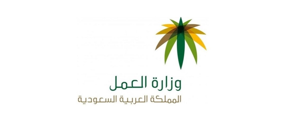 كشف استلام الرواتب الشهرية وزارة العمل