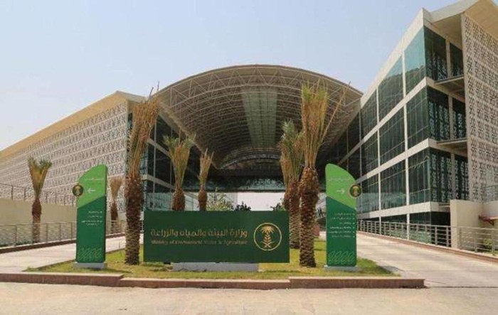 شروط الواجب توافرها للحصول على دعم صغار مربي الماشية