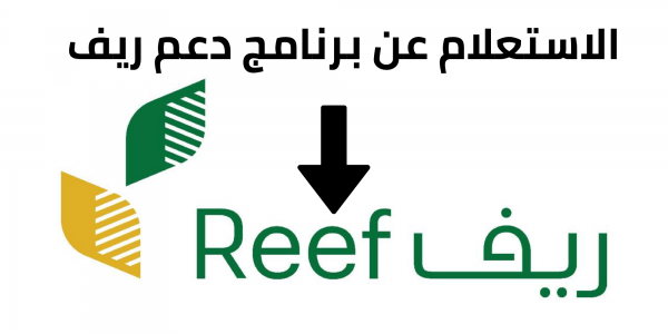 دعم منصة ريف