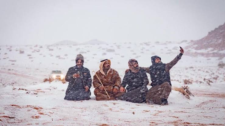 بداية موسم العقارب